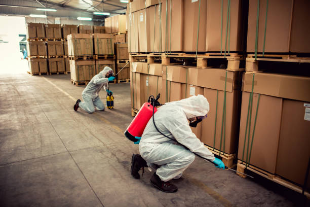 Best Termite Control Services  in Bohemia, NY