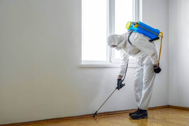 Best Pest Control for Restaurants  in Bohemia, NY