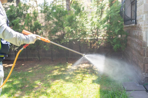 Best Best Pest Control Companies  in Bohemia, NY